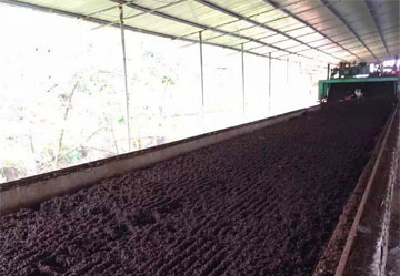 Make Cow Dung Profitable Compost Cattle Manure Into Organic